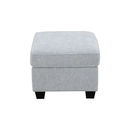 Stationary Upholstery Ashbury Ottoman