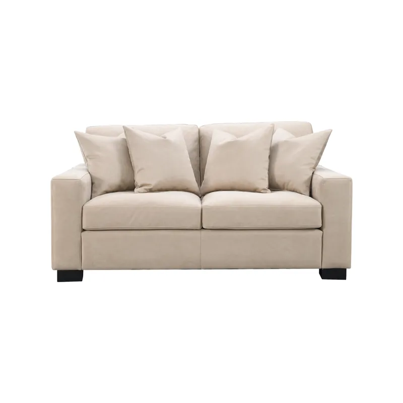 Dexter Loveseat w Pillows