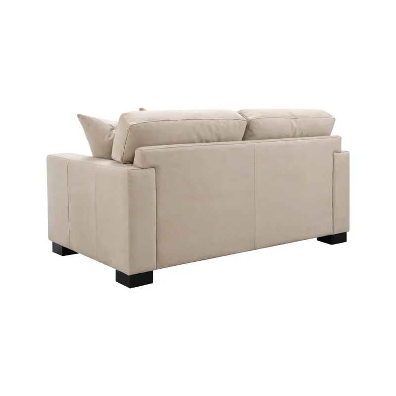 Dexter Loveseat w Pillows