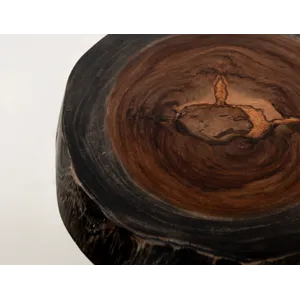 Parota Epoxy Chairside Table