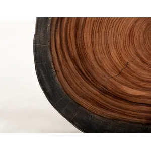 Parota Epoxy End Table