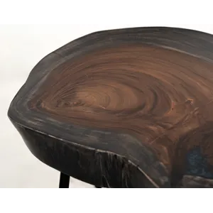 Parota Epoxy Chairside Table