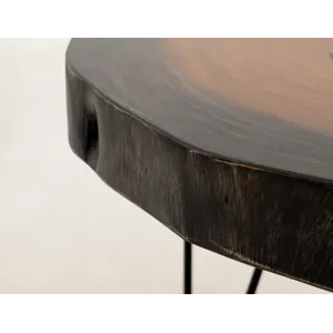 Parota Epoxy Sofa Table
