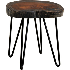 Parota Epoxy End Table