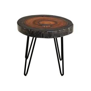 Parota Epoxy End Table