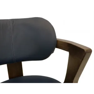 Zaphiro Upholstered Chair