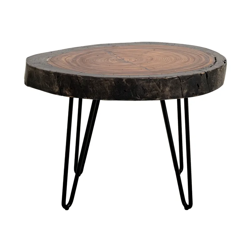 Parota Epoxy End Table