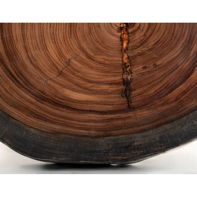 Parota Epoxy End Table