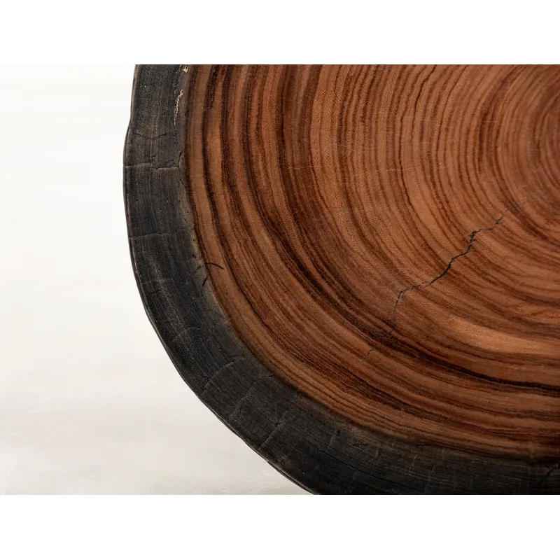 Parota Epoxy End Table