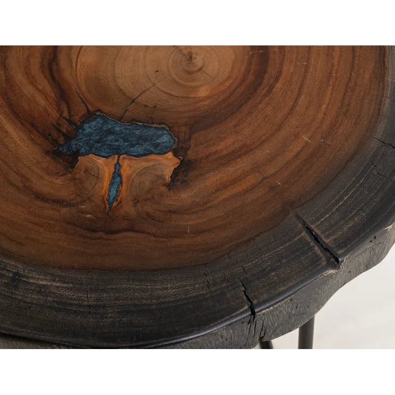 Parota Epoxy End Table