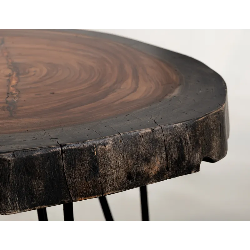 Parota Epoxy End Table