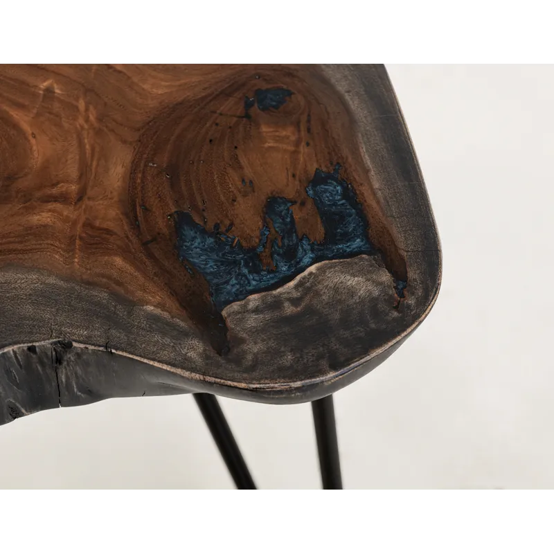 Parota Epoxy End Table