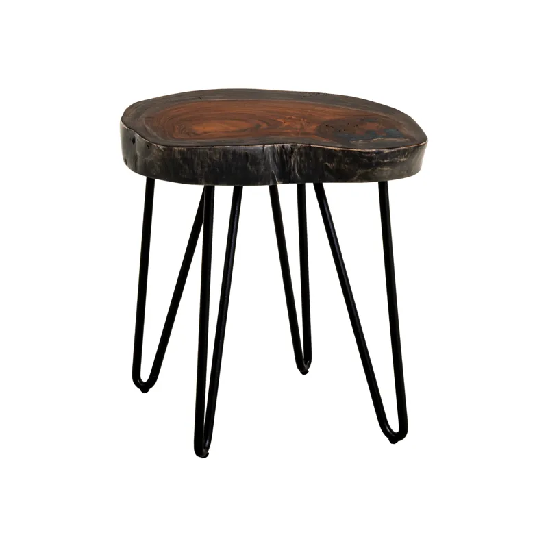 Parota Epoxy End Table