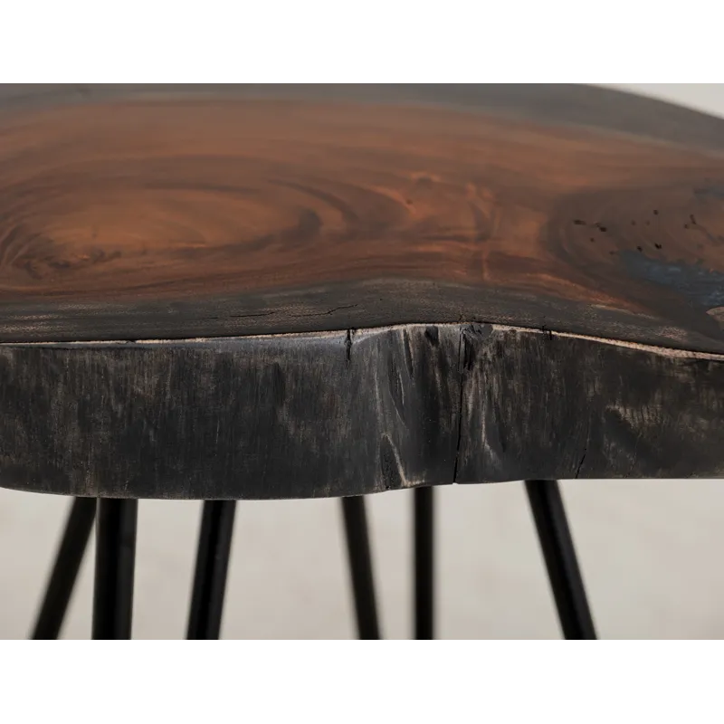 Parota Epoxy End Table