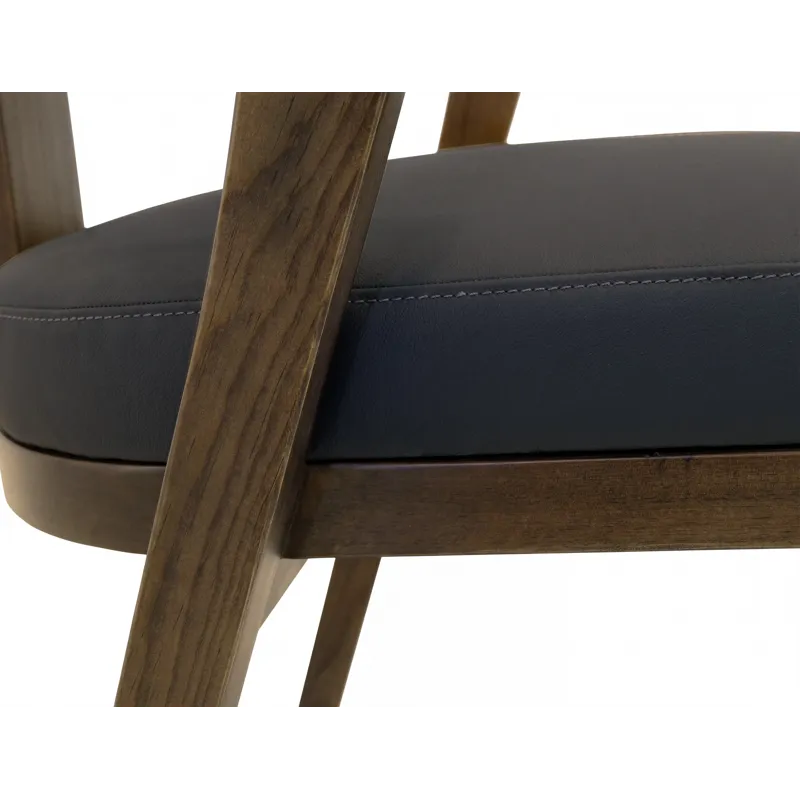 Zaphiro Upholstered Chair