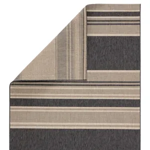 Catamaran Pilot Indoor/ Outdoor Stripe Gray/ Beige Area Rug (7'10"X10'10")