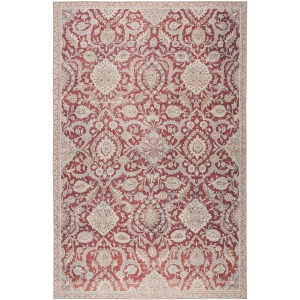 Chateau Sire Indoor/ Outdoor Oriental Red/ Gray Area Rug
