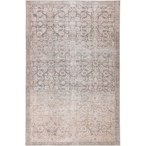 Chateau Atkins Indoor/ Outdoor Trellis Peach/ Blue Area Rug