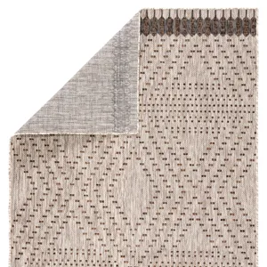 Decora by Nikki Chu Nikki Chu by  Tirana Indoor/ Outdoor Borders Gray/ Brown Area Rug (5'3"X7'6")