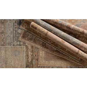 Alessia A 8X10 Rug