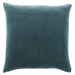 Emerson Hendrix Border Teal/ Cream Down Throw Pillow 22 inch