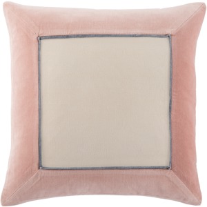 Emerson Hendrix Border Blush/ Cream Poly Throw Pillow 22 inch