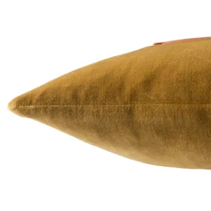 Emerson Hendrix Border Gold/ Cream Poly Throw Pillow 22 inch