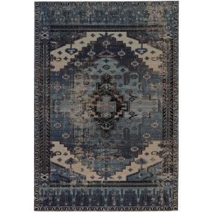 Polaris Cicero Indoor/ Outdoor Medallion Blue/ Gray Area Rug