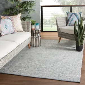 Pasadena Lamanda Indoor/ Outdoor Solid Gray/ Ivory Area Rug (8'X10')