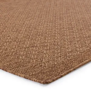 Tahiti Vibe by  Maeva Indoor/ Outdoor Border Light Brown Area Rug (2'X3')