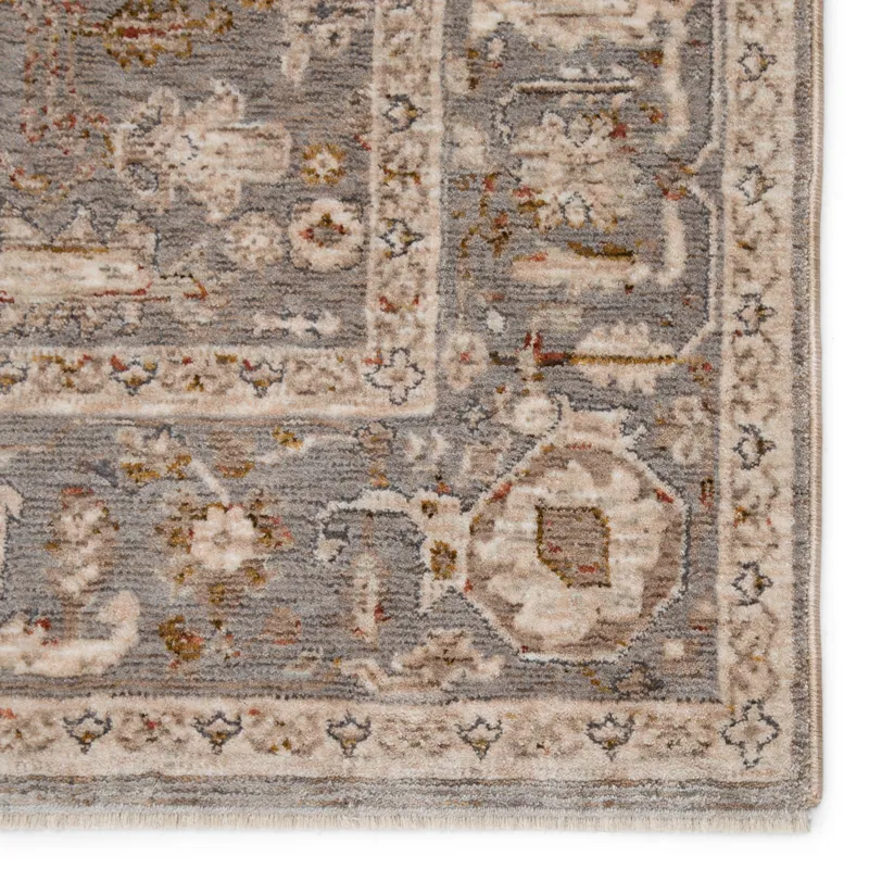 Valentia Amaris Oriental Gray/ Cream Area Rug (9'3"X13'3")