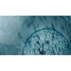 Cosmos Glass Spheres - Set of 2