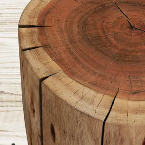 Global Archive Solid Wood Live Edge Stump Accent Table