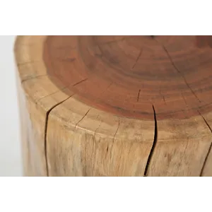 Global Archive Solid Wood Live Edge Stump Accent Table