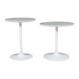 Camille Nesting Table - Set of 2 - White on White
