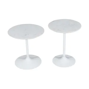 Camille Solid Marble And Iron Modern Luxury Accent Tables(Set Of 2)