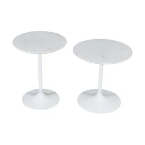 Camille Solid Marble And Iron Modern Luxury Accent Tables(Set Of 2)
