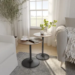 Remy Solid Wood And Iron Modern Pedestal Accent Tables(Set Of 2)