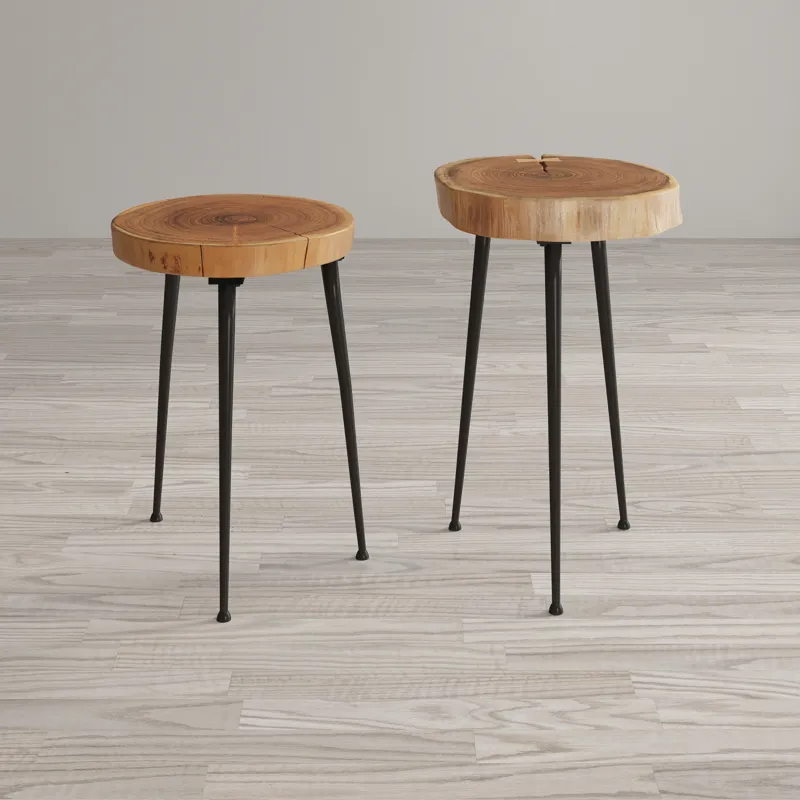 Global Archive Flat-Pack Wood And Iron Accent Tables(Set Of 2)