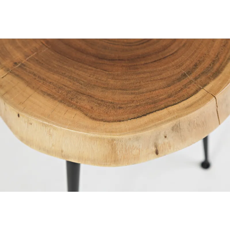 Global Archive Flat-Pack Wood And Iron Accent Tables(Set Of 2)