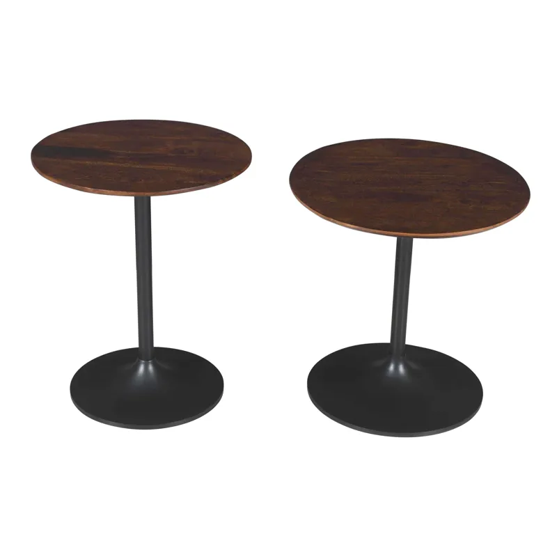 Remy Solid Wood And Iron Modern Pedestal Accent Tables(Set Of 2)