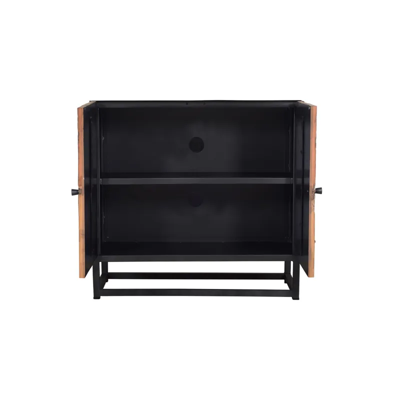 Reclaimed Solid Wood Astral Plains 2 Door Accent Cabinet