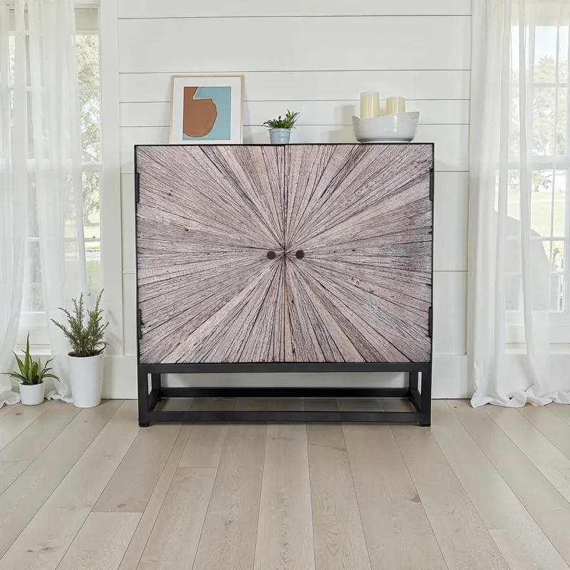 Reclaimed Solid Wood Astral Plains 2 Door Accent Cabinet