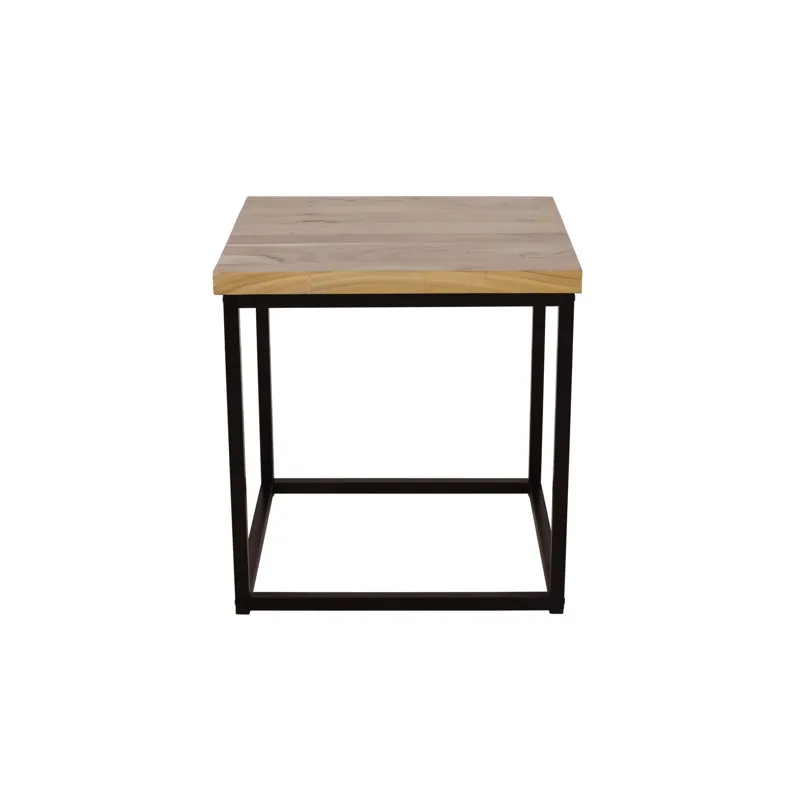 Ames Solid Wood Modern End Table