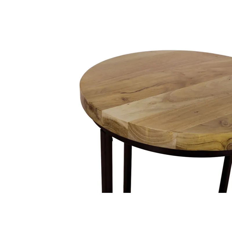 Ames Solid Wood Modern 20\" Round End Table