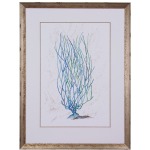 Dyann Gunter's Blue Coral II