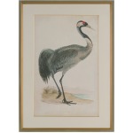 Morris Crane I