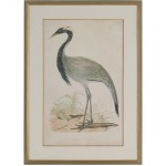 Morris Crane II
