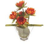 Knockout Lotus