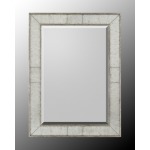 36X48 Slvr Fr W/Center Rect Bev Clr